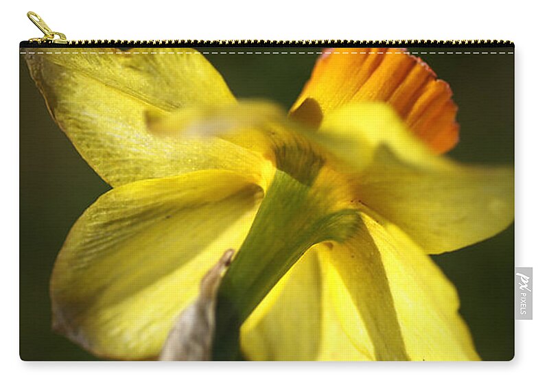 Daffodil Flower. Daffodil Zip Pouch featuring the photograph Daffodils Grace by Joy Watson