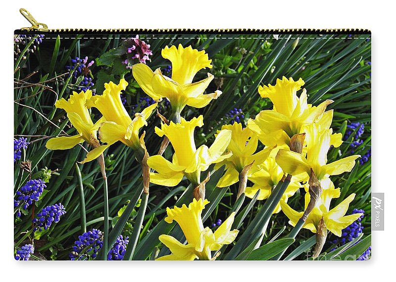 Daffodil Zip Pouch featuring the photograph Daffodils by Sarah Loft