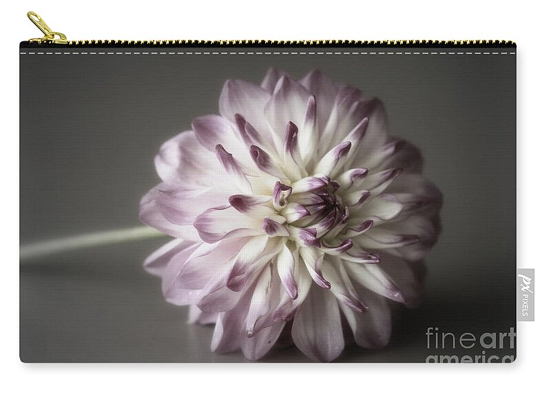 Flower Zip Pouch featuring the photograph Dahlia by Amanda Mohler