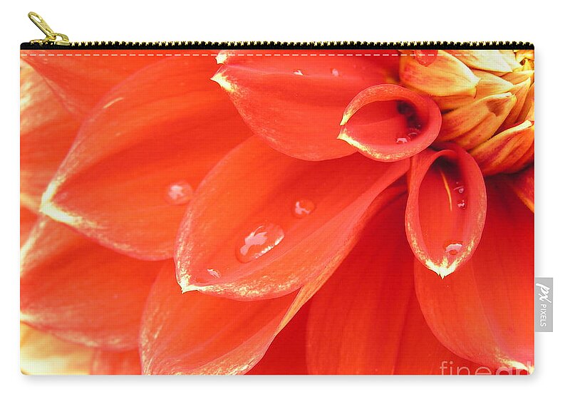Dahlia Zip Pouch featuring the photograph Dahlia Heart by Spikey Mouse Photography
