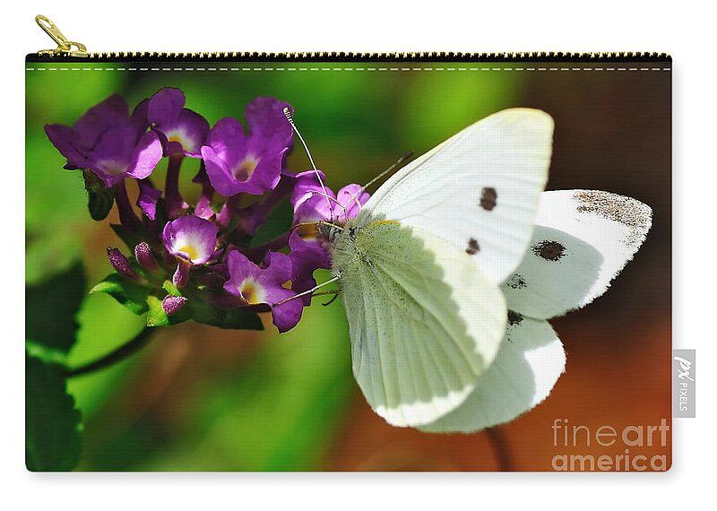 Photography Zip Pouch featuring the photograph Dainty Butterfly by Kaye Menner