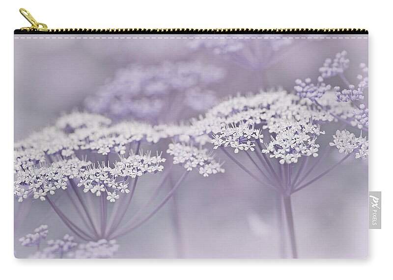 Queen Anne's Lace Zip Pouch featuring the photograph Dainty White Flowers Lavender by Jennie Marie Schell