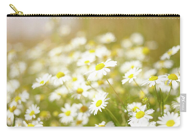 Outdoors Zip Pouch featuring the photograph Daisies In Meadow, Close-up by Dougal Waters