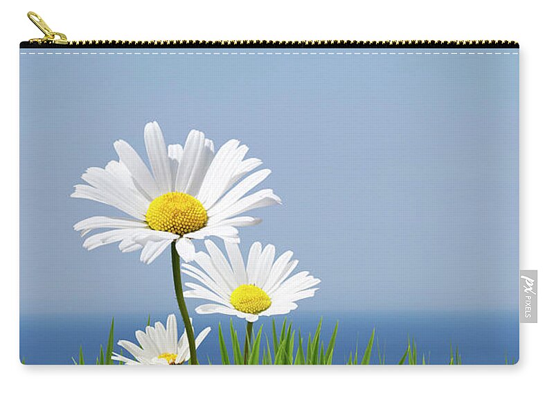 Grass Carry-all Pouch featuring the photograph Daisies On A Cliff Edge by Andrew Dernie