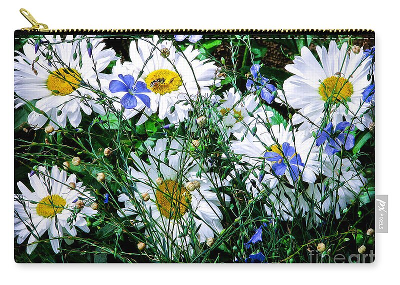 Flowers Zip Pouch featuring the photograph Daisies with Blue Flax and Bee by Roselynne Broussard