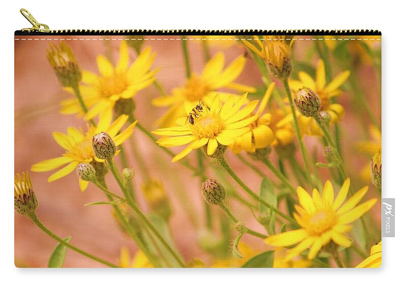 Daisy Zip Pouch featuring the photograph Daisy a day series by Julie Lueders 