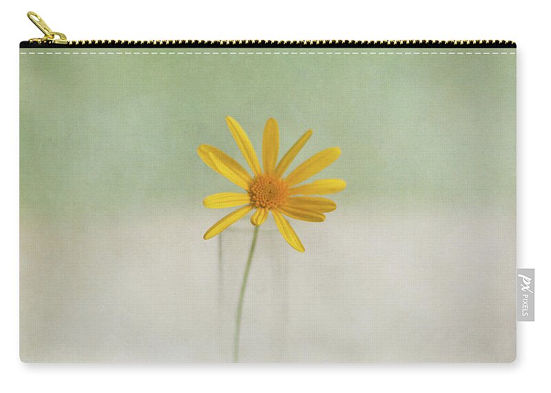 Vase Zip Pouch featuring the photograph Daisy by Jill Ferry