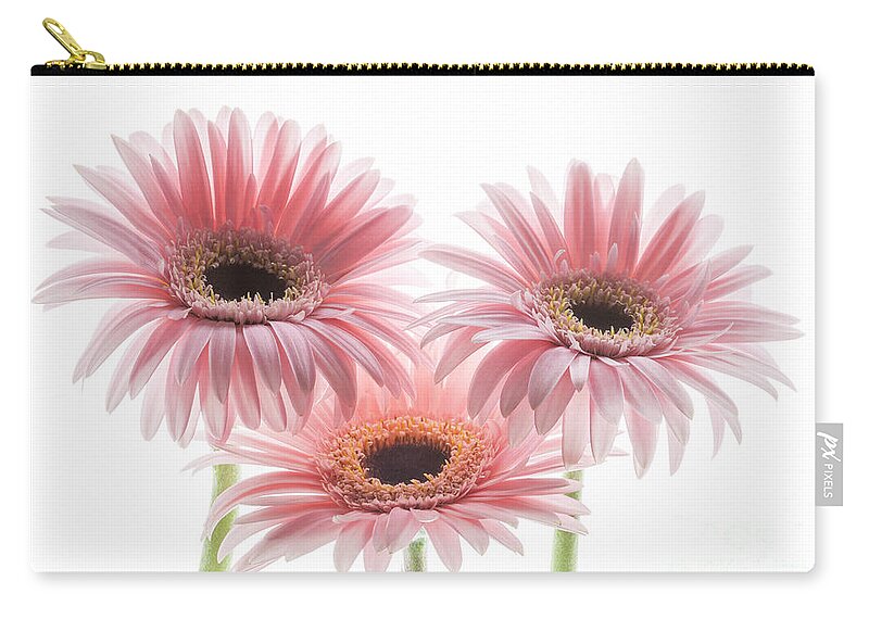 Daisy Trio Carry-all Pouch featuring the photograph Daisy Trio by Patty Colabuono