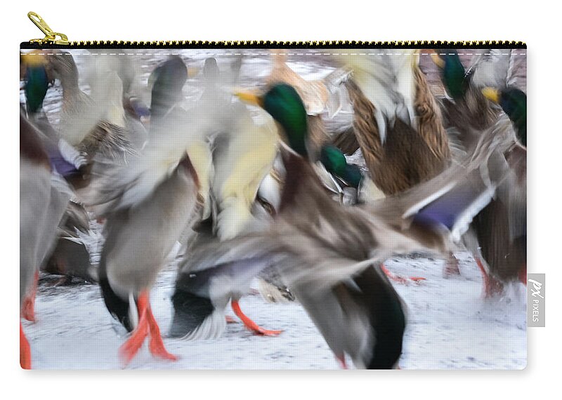 Mallards Carry-all Pouch featuring the photograph Dancing Ducks by Holden The Moment