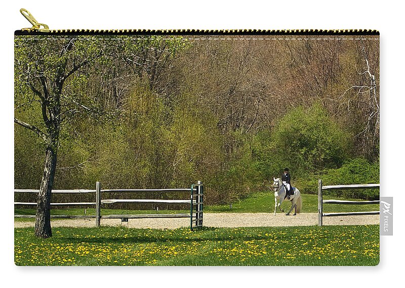 Beland. Spring Zip Pouch featuring the photograph Dandelion Dressage by Joan Davis