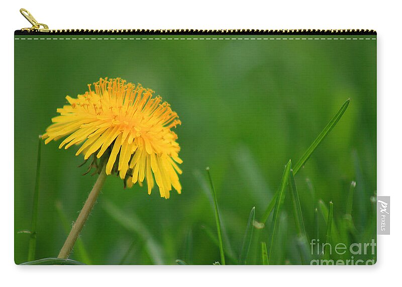 Flower Zip Pouch featuring the photograph Dandelion Flower by Karen Adams