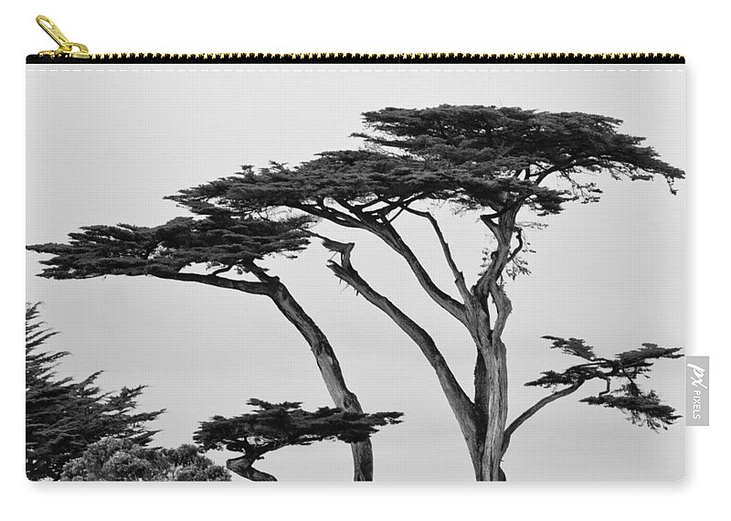 2012 Zip Pouch featuring the photograph Dark Cypress by Melinda Ledsome