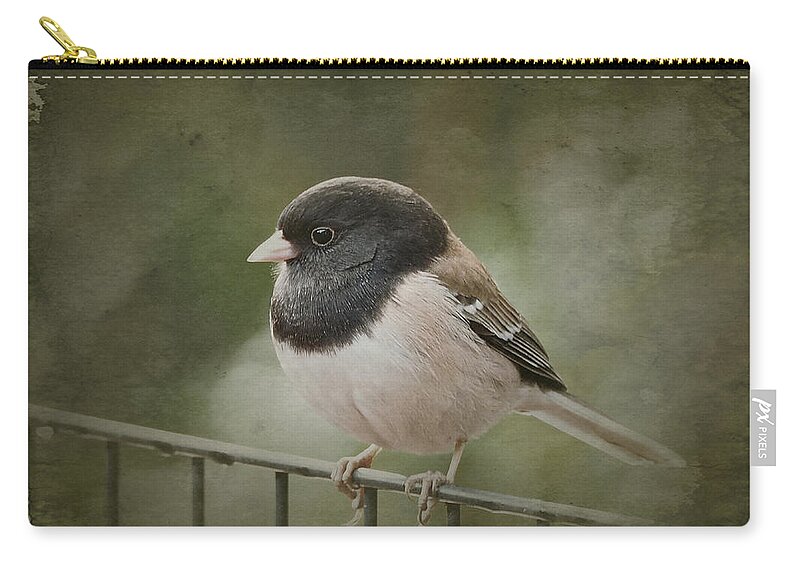 Birds Zip Pouch featuring the photograph Dark-Eyed Junco by Parrish Todd