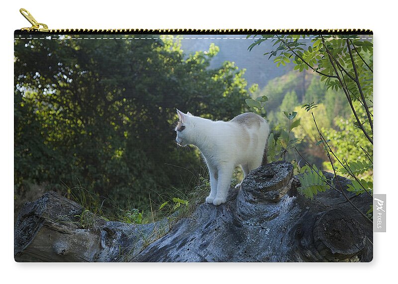 Cat Zip Pouch featuring the photograph Dawn Patrol by Theresa Tahara