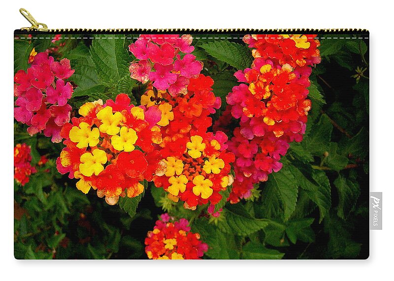 Fine Art Zip Pouch featuring the photograph Day Glo Summer by Rodney Lee Williams