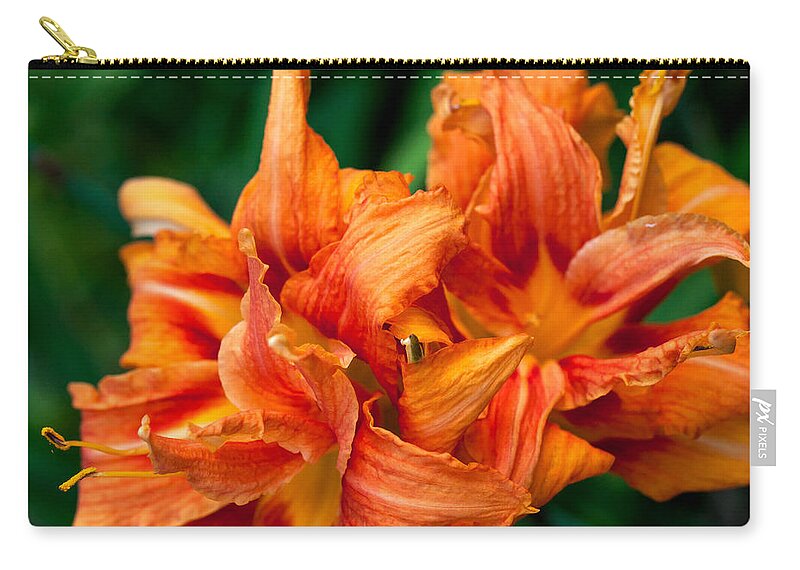 Cumc Zip Pouch featuring the photograph Day Lily by Charles Hite
