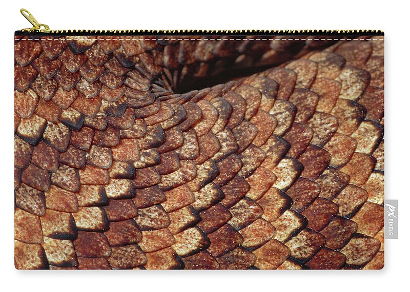 00511539 Zip Pouch featuring the photograph Death Adder Scales by Michael and Patricia Fogden