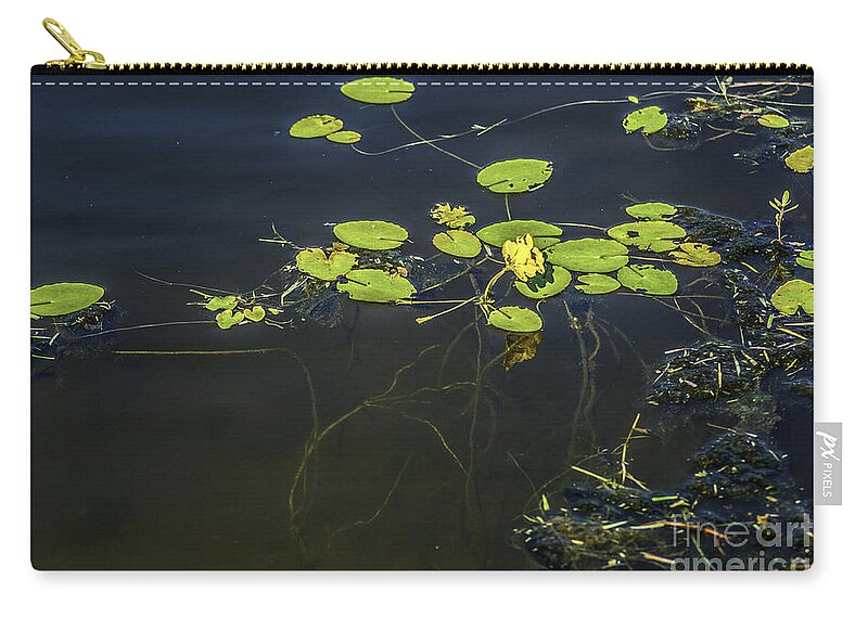 Lilly Pad Zip Pouch featuring the photograph Deep Roots by Dale Powell