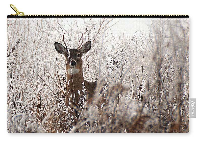 Wildlife Zip Pouch featuring the photograph Deer in Winter by William Selander