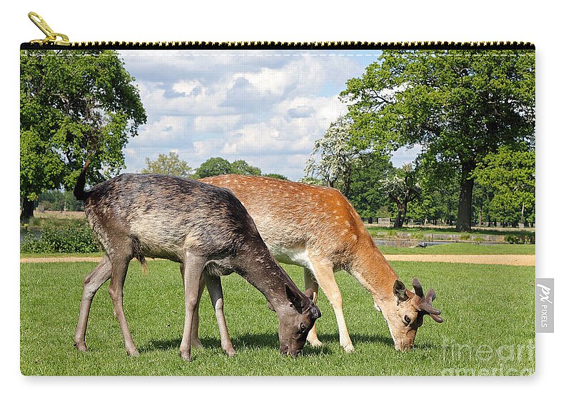 Deer Fallow Grazing 2 British English Landscape Wildlife Animals Animal Zip Pouch featuring the photograph Two Deer by Julia Gavin