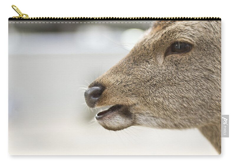 Animal Themes Zip Pouch featuring the photograph Deer by Mojao