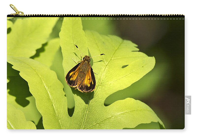 Butterfly Zip Pouch featuring the photograph Delaware Skipper by Christina Rollo