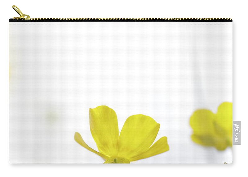 Beautiful Zip Pouch featuring the photograph Delicate buttercup blossom by Ulrich Kunst And Bettina Scheidulin