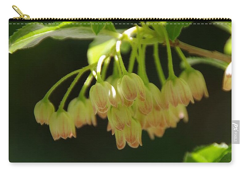 Red Veined Enkianthus Zip Pouch featuring the photograph Delicate Flowers by Marilyn Wilson