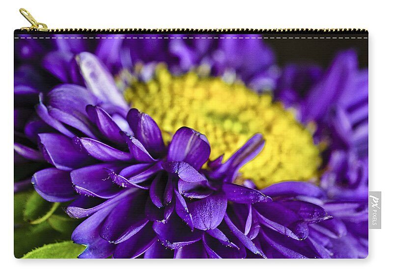 Aster Matsumoto Carry-all Pouch featuring the photograph Delights the Eye by Christi Kraft