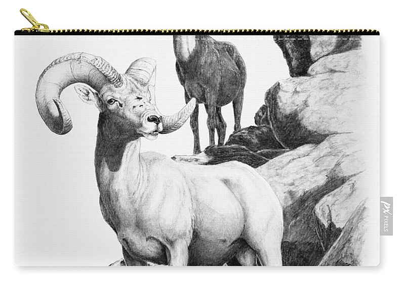 Desert Bighorn Zip Pouch featuring the drawing Desert Bighorns by Darcy Tate