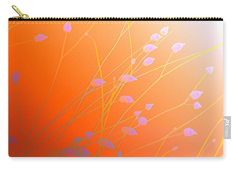 Floral Zip Pouch featuring the photograph Desert Flowers by Holly Kempe