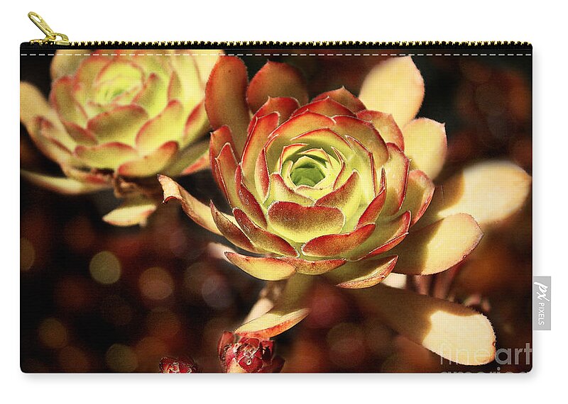Plants Zip Pouch featuring the photograph Desert Roses by Ellen Cotton