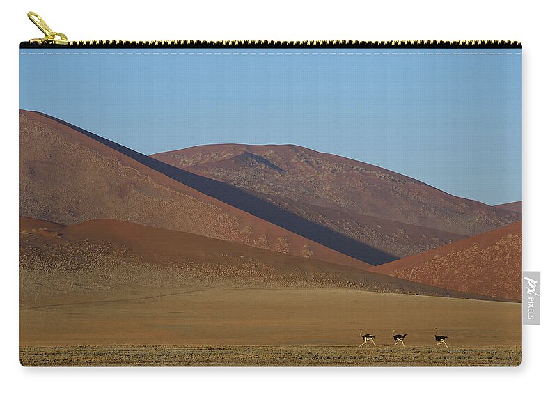 Struthio Camelus Zip Pouch featuring the photograph Desert Running by Tony Beck