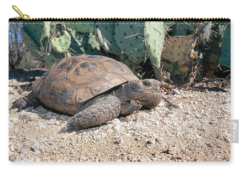 Animal Zip Pouch featuring the photograph Desert Tortoise, Arizona by Craig K. Lorenz