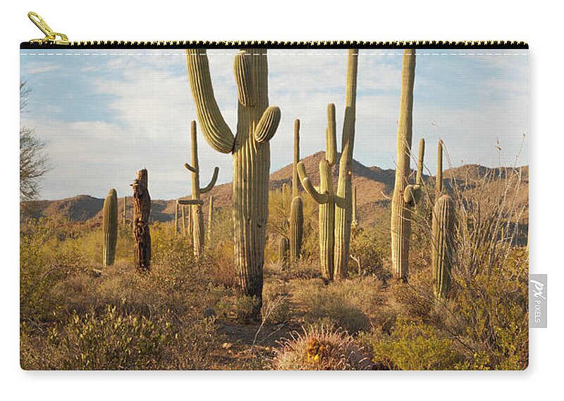 Saguaro Cactus Zip Pouch featuring the photograph Desert Vegetation by Chapin31