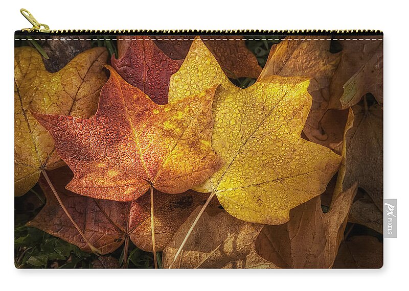 Leaf Zip Pouch featuring the photograph Dew on Autumn Leaves by Scott Norris