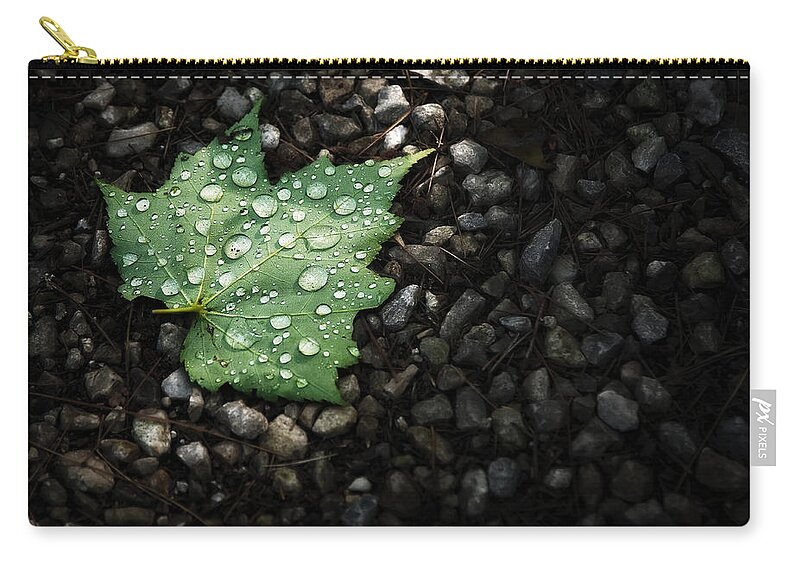 Leaf Zip Pouch featuring the photograph Dew on Leaf by Scott Norris
