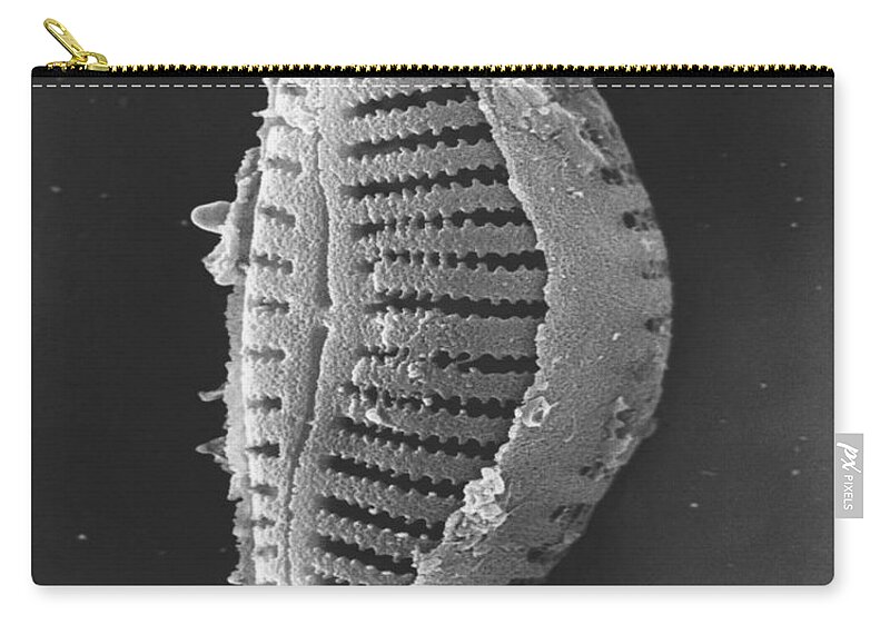 Diatom Zip Pouch featuring the photograph Diatom by David M. Phillips