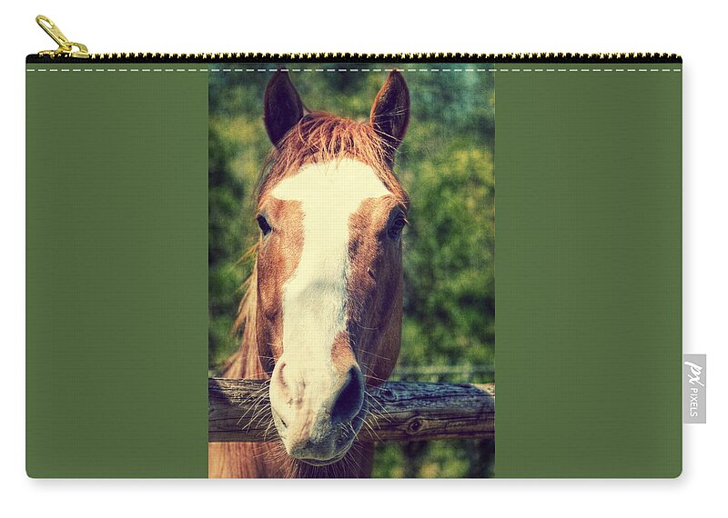 Horse Zip Pouch featuring the photograph Did you Bring an Apple by Melanie Lankford Photography