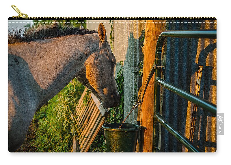 Horse Zip Pouch featuring the photograph Dinnertime Abendessen by David Morefield