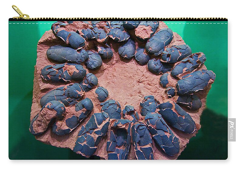 Dinosaur Eggs Zip Pouch featuring the photograph Dinosaur Eggs by Millard H Sharp