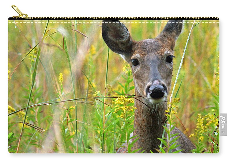 Deer Zip Pouch featuring the photograph Doe in morning dew by Miss Crystal D