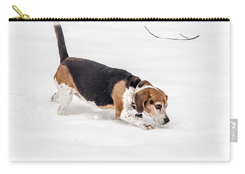 2015 Zip Pouch featuring the photograph Dog in the Snow by Wade Brooks