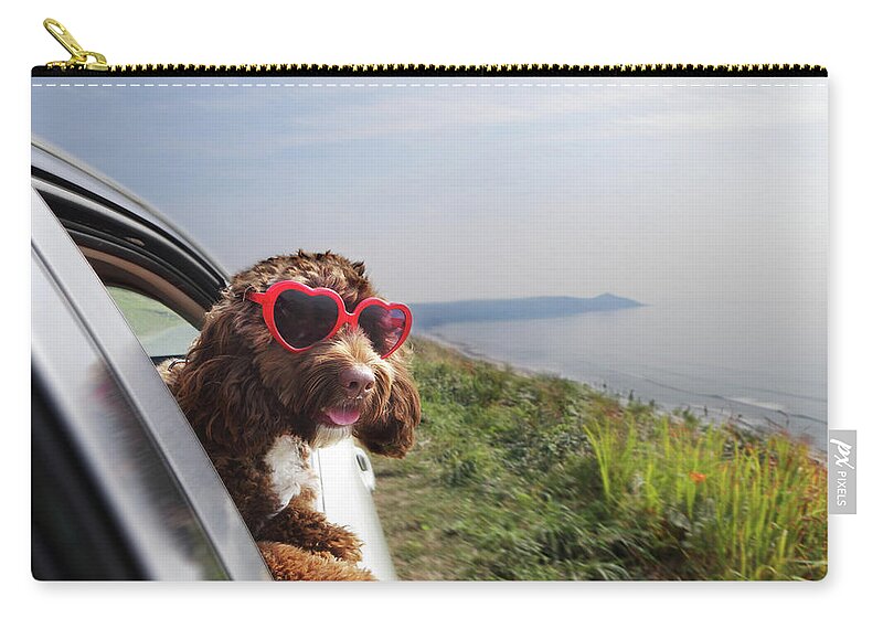Pets Zip Pouch featuring the photograph Dog Leaning Out Of Car Window On Coast by Peter Cade