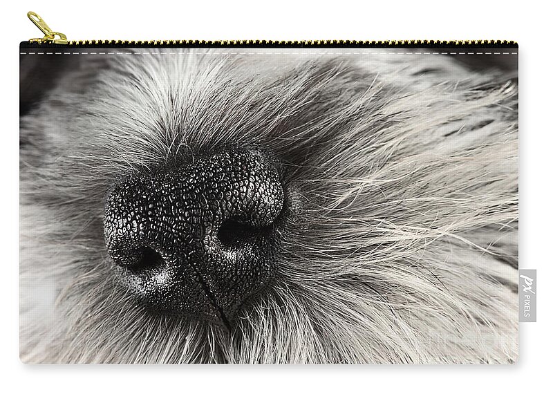 Puppy Zip Pouch featuring the photograph Dog Nose by Stephanie Frey