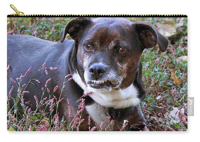 Dog Zip Pouch featuring the photograph Dogg by Bonnie Willis