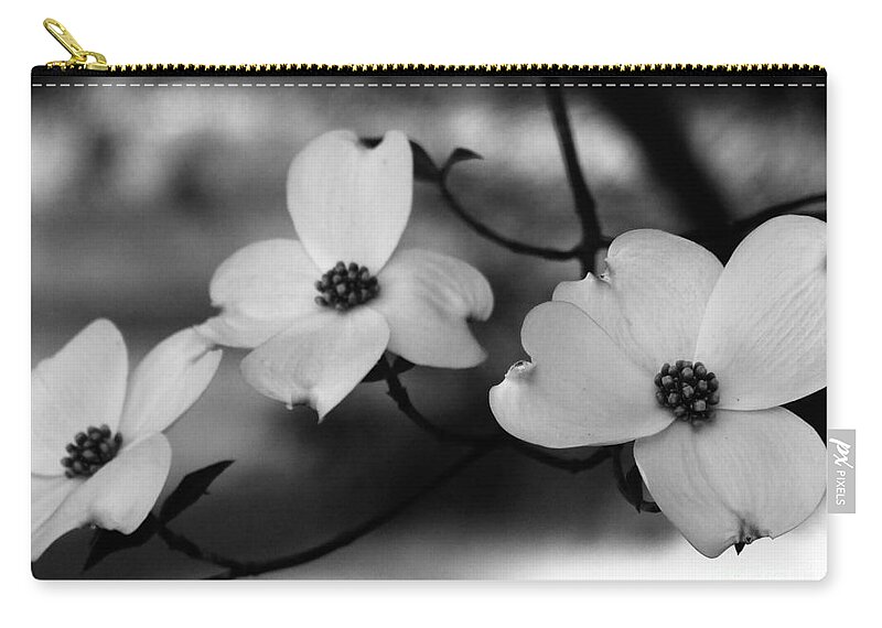 Dogwood Zip Pouch featuring the photograph Dogwood Black and White by Andrea Anderegg
