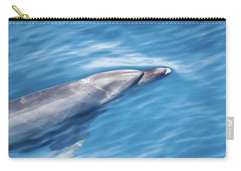 Nā Pali Coast State Park Zip Pouch featuring the photograph Dolphin Watching In Kauai Hawaii by Yinyang