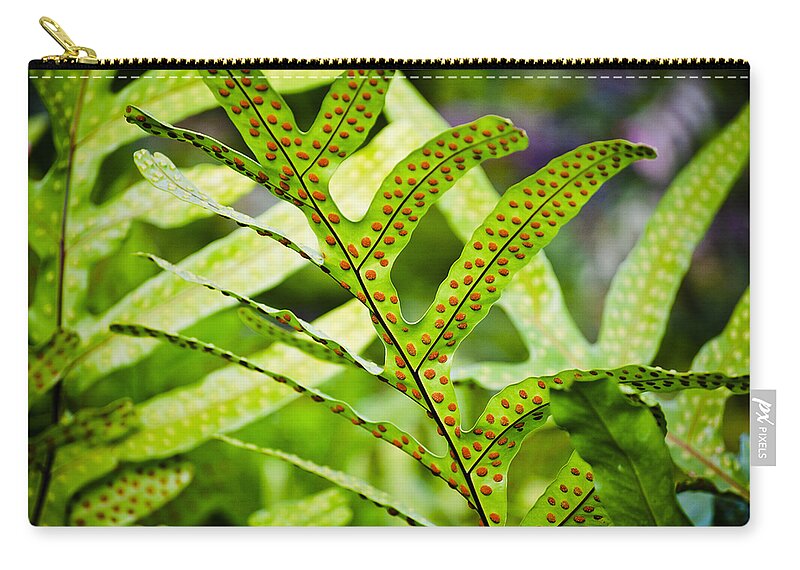 Botanical Zip Pouch featuring the photograph Dotty by Christi Kraft