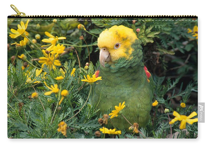 Amazon Parrot Carry-all Pouch featuring the photograph Double Yellow Headed Parrot by Craig K. Lorenz